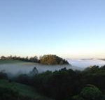 Montville House on the Hill - New South Wales Tourism 