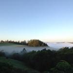 Montville House On The Hill - New South Wales Tourism  0