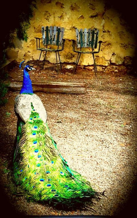 A La Folly - New South Wales Tourism  4