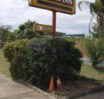 Golden West Motor Inn - New South Wales Tourism 