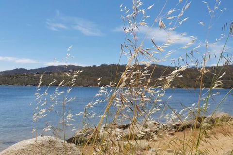 Snow Ridge 4 - New South Wales Tourism  4