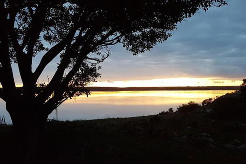 Ratcliff Cottage - New South Wales Tourism  3