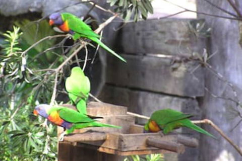 Kianinny Bush Cottages - New South Wales Tourism  1