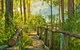 Kianinny Bush Cottages - thumb 7