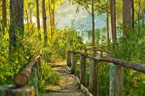 Kianinny Bush Cottages - New South Wales Tourism  7