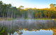Kianinny Bush Cottages - thumb 5
