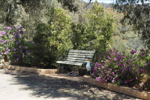 Wild Cherry Bed & Breakfast - New South Wales Tourism  3
