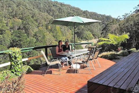 Wild Cherry Bed & Breakfast - New South Wales Tourism  4