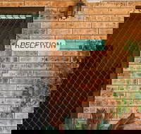 Clermont Country Motor Inn - New South Wales Tourism 