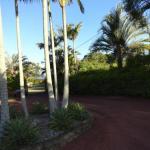 Cleveland B & B Private Studio Room - New South Wales Tourism  1