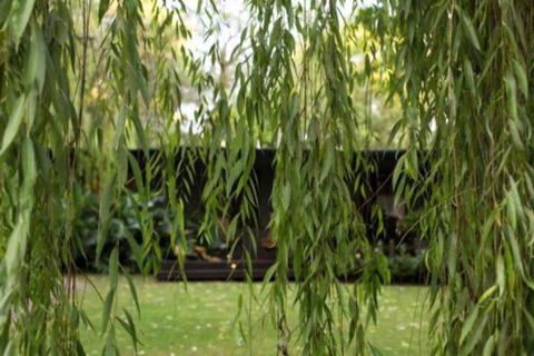 Botanica Editions - New South Wales Tourism  6