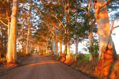 Innisfree Mountain Retreat - New South Wales Tourism  0