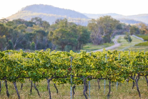 James Farmhouse - New South Wales Tourism  6