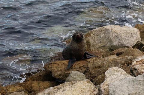 Far Away Escape - New South Wales Tourism  1