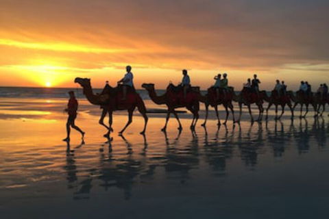 Beach House On Fox - New South Wales Tourism  0
