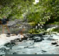 Sharlynn by the River - New South Wales Tourism 