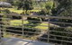 Gumnut Grove The Vintage - thumb 3