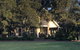 Gumnut Grove The Vintage - thumb 0