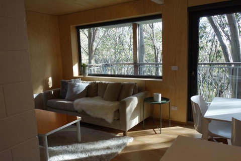 Sasalis 9 Falls Creek Private Apartment - New South Wales Tourism  2