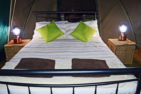 Nulla Nulla Farm Retreat - New South Wales Tourism  7