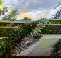 The Grapevine Motel