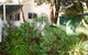 Farview Guest Accommodation - thumb 4