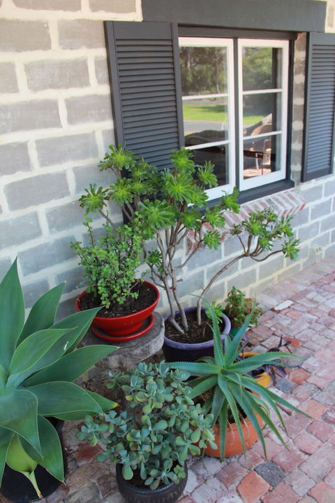 Bakehouse '38 Restaurant & Guesthouse - New South Wales Tourism  2