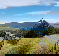 Eaglehawk Rainforest Retreat - New South Wales Tourism 