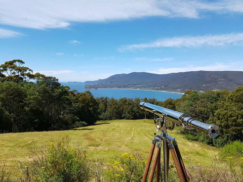 Eaglehawk Rainforest Retreat - New South Wales Tourism  0