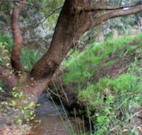Longwood Retreat - New South Wales Tourism 