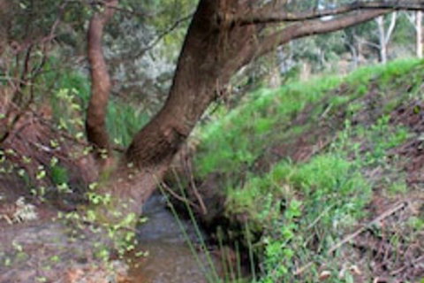 Longwood Retreat - New South Wales Tourism  0