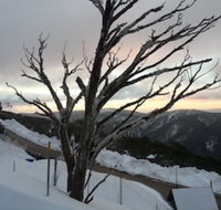 Snowflake 12 - New South Wales Tourism 