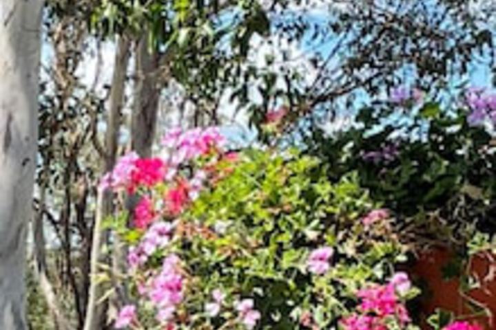 Upper Pinelands QLD New South Wales Tourism 