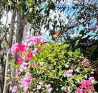 Crows Nest Motel - New South Wales Tourism 