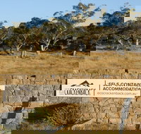 Ecocrackenback 16 'Sustainable chalet close to the slopes.' - New South Wales Tourism 