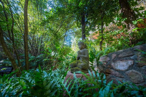 The Tree House. Treetop Living Near The Ocean Coolum Beach QLD Australia - New South Wales Tourism  2
