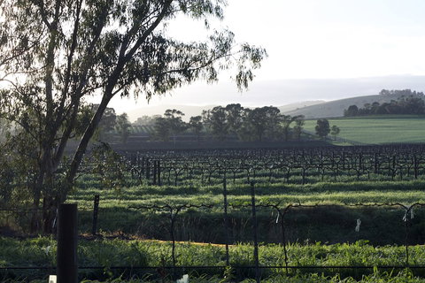 Jasmine's Cottage - New South Wales Tourism  0