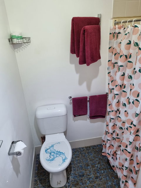 Taree Lodge Motel - New South Wales Tourism  4