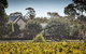 Balgownie Estate Winery Retreat & Restaurant - thumb 3