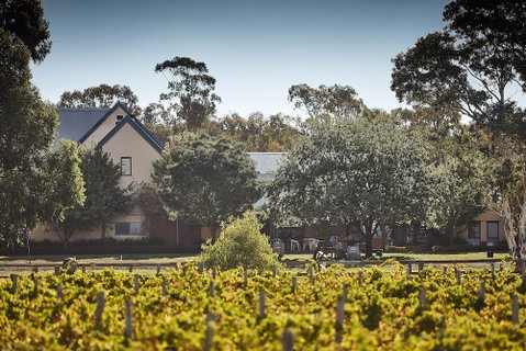 Balgownie Estate Winery Retreat & Restaurant - New South Wales Tourism  3