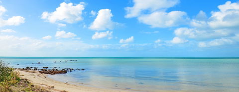 Halcyon Daze - New South Wales Tourism  2