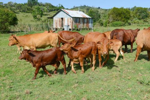 Samford Lakes - New South Wales Tourism  5