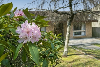 Wentworth Rose - New South Wales Tourism  0