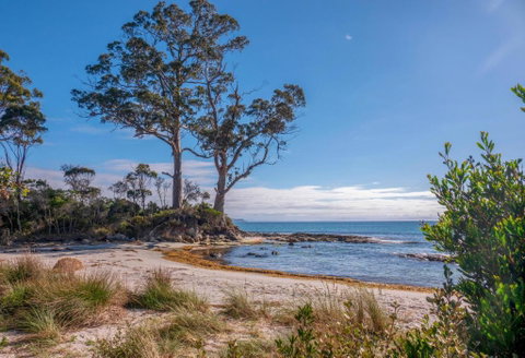 Adventure Bay Holiday Home - New South Wales Tourism  3