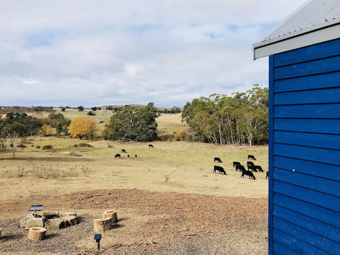 In2thewild - Walden - New South Wales Tourism  7