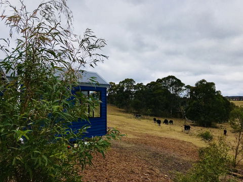 In2thewild - Walden - New South Wales Tourism  1