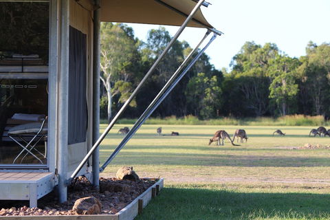 Habitat Noosa - New South Wales Tourism  3