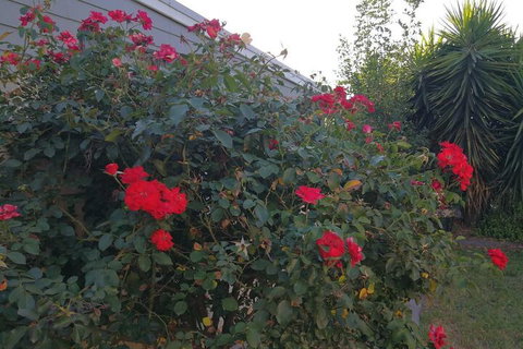 6-Bedroom House Singleton Hunter Valley - New South Wales Tourism  6