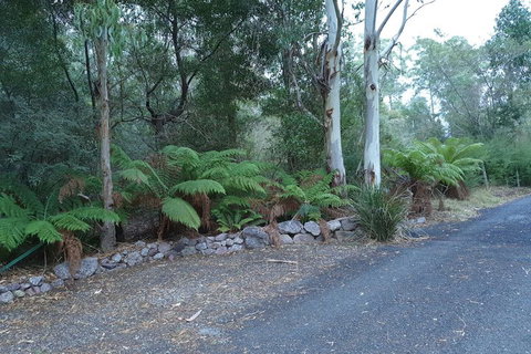 Roland B&B - New South Wales Tourism  4