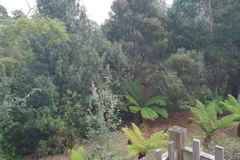 Roland B&B - New South Wales Tourism  1